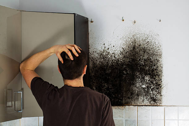 Water Damage Restoration in Bradford, TN